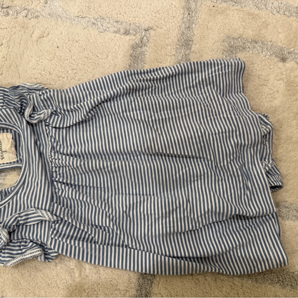 Vignette Striped Blue and White Dress